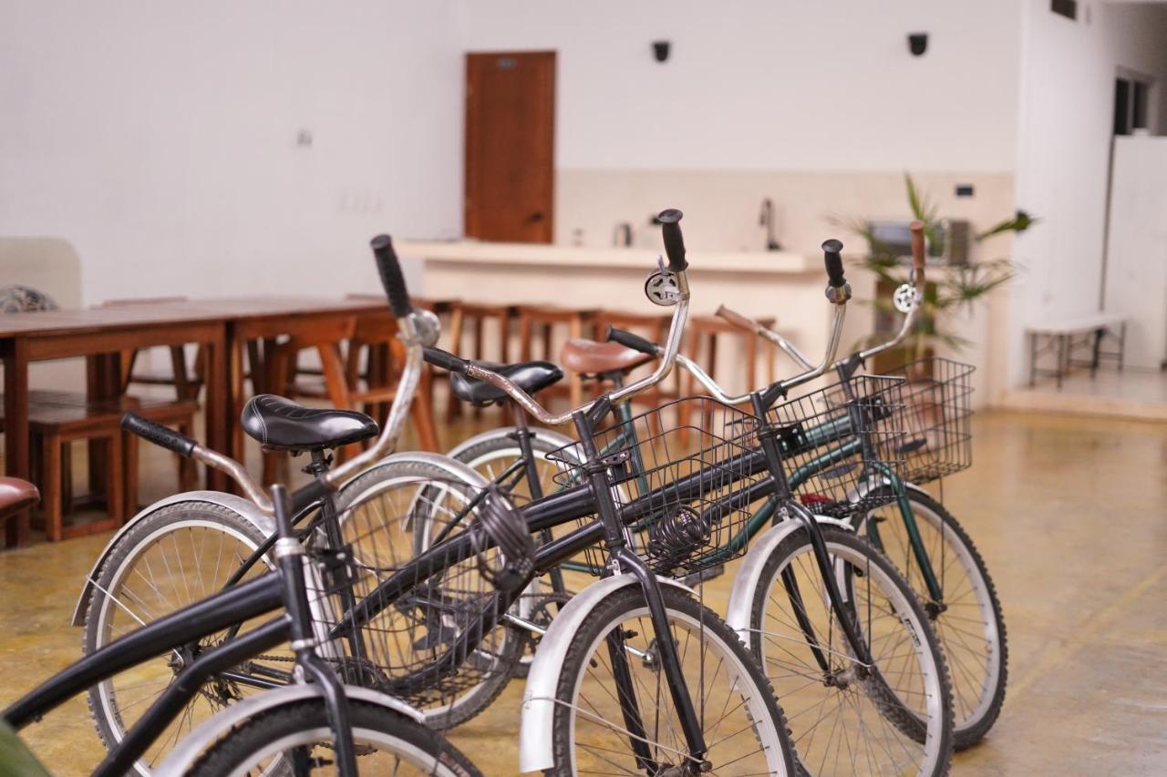 Freelance Hostel 툴룸 외부 사진