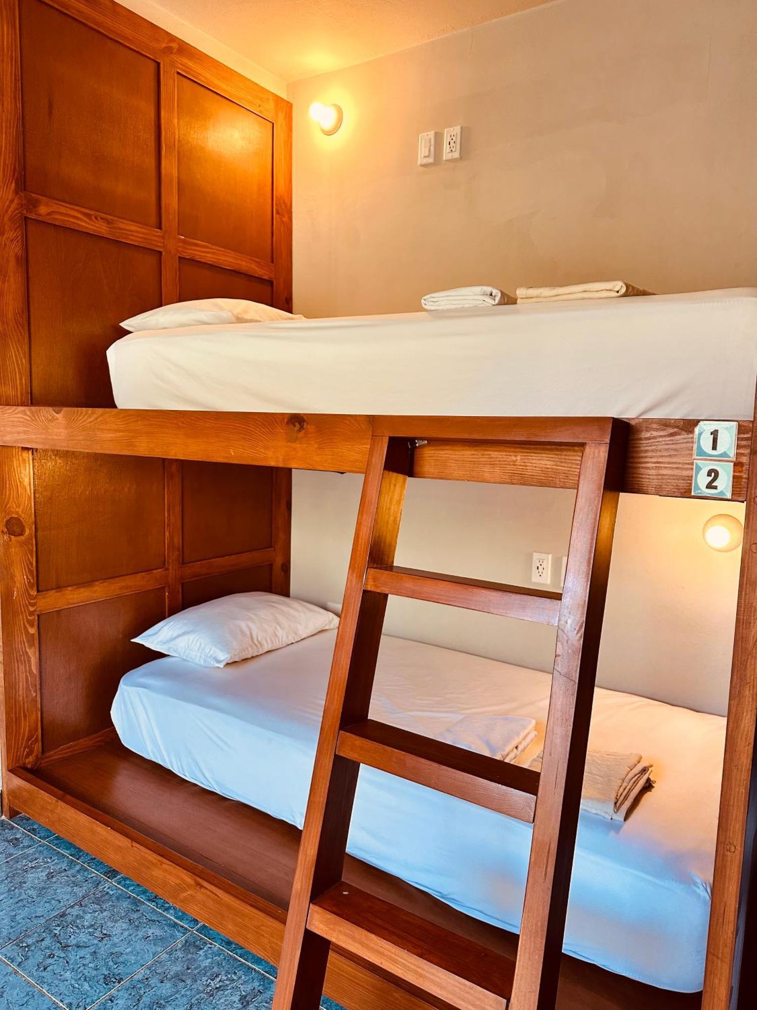 Freelance Hostel 툴룸 외부 사진